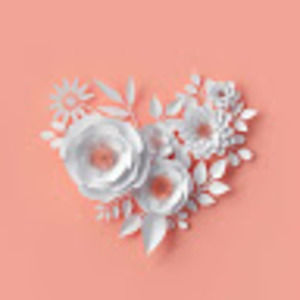 Meet your Posher, Janise